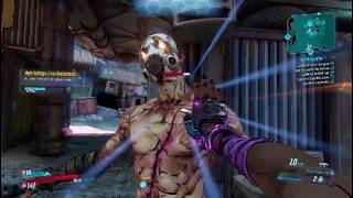 Borderlands 3 Hand of the Borderlands Star 8/30/26 ps4