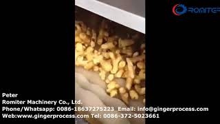 Automatic Brush Roller Type Ginger Washing Peeling Machine for Sale
