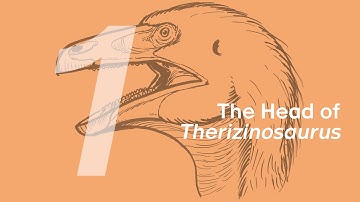 Qingge the Therizinosaurus 1: The Head | Learn to Draw Dinosaurs with ZHAO Chuang