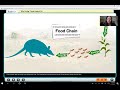 Food Chains in Nature: Drawing Connections and Understanding Energy Flow