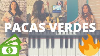 Video thumbnail of "Pacas Verdes - Ovi ft. Natanael Cano | PIANO, VIOLIN, ACORDEON, y GUITARRA COVER"