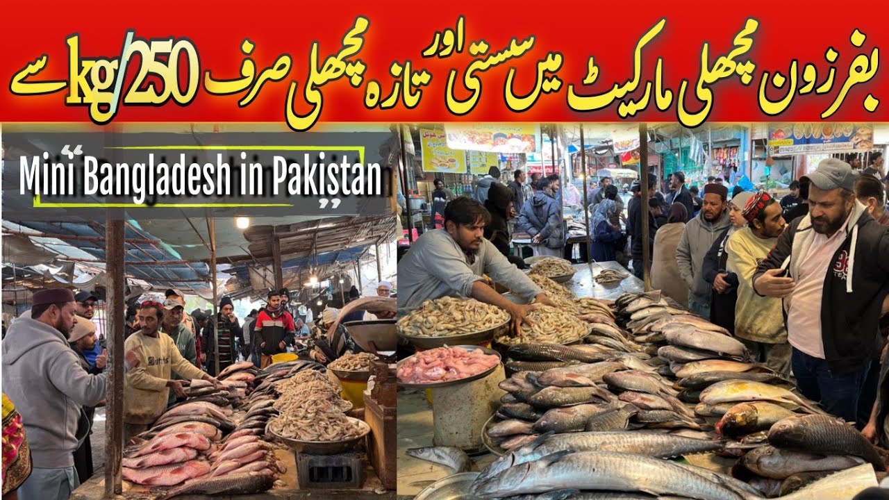 Sasti Fish Market Bafar Zone | Buffer Zone Fish Market Karachi | New Karachi Fish Market | Machli