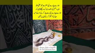 Blessed Hair of Prophet Muhammad (PBUH) | Sacred Ziyarat