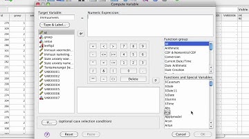 SPSS  Function 