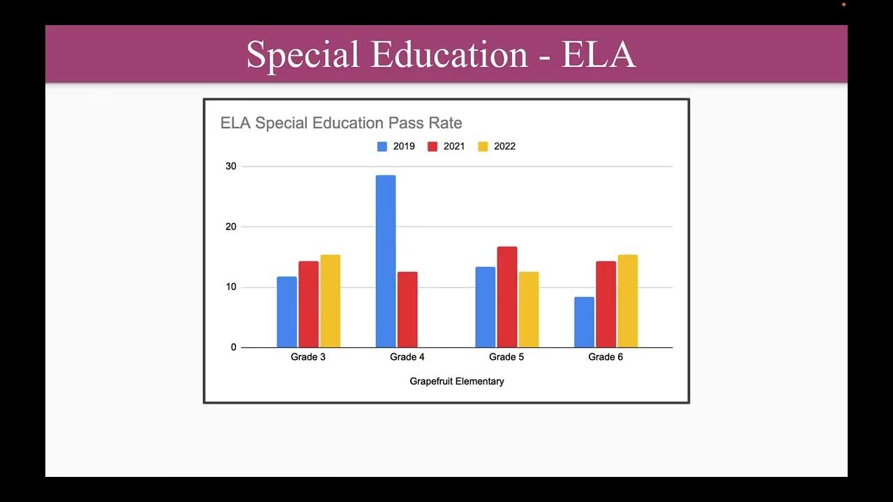 ILEARN Data Audit YouTube
