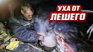 20 лет в лесу. Последние новости отшельника | Оренбургская обл, Бузулук.