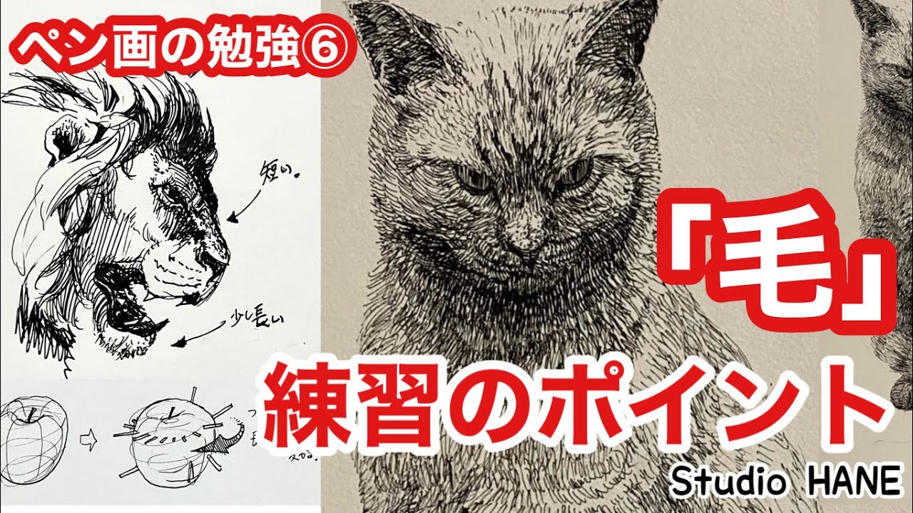 意外と簡単!動物を描く時に気をつけている事【ペン画の勉強】絵画教室で教える絵の描き方@StudioHANE