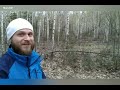 #64 Березовая роща где ходят Йети. Снежный человек. Леший. Bigfoot