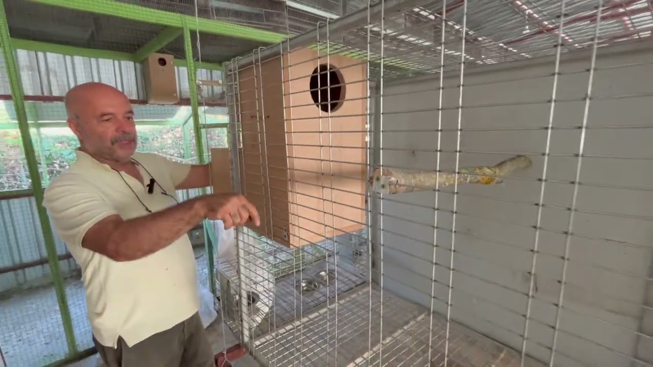 Jako Yeni Dönem Üretimde Yuvalık Nasıl Olmalı, Nelere Dikkat Edilmeli