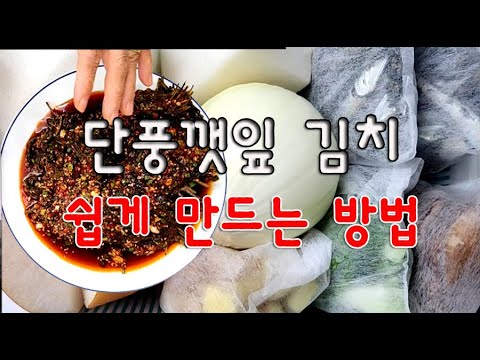 단풍깻잎김치 맛있게 만드는 방법, 들깻잎김치 손쉽게 만들기(단풍깻잎 삭히기에 이어 만들기까지) 입니다. 영상 마지막에 링크해 두었습니다. 단풍깻잎김치 맛있게 만드는 방법, 들깻잎김치 손쉽게 만들기(단풍깻잎 삭히기에 이어 만들기까지) 입니다. 영상 마지막에 링크해 두었습니다.