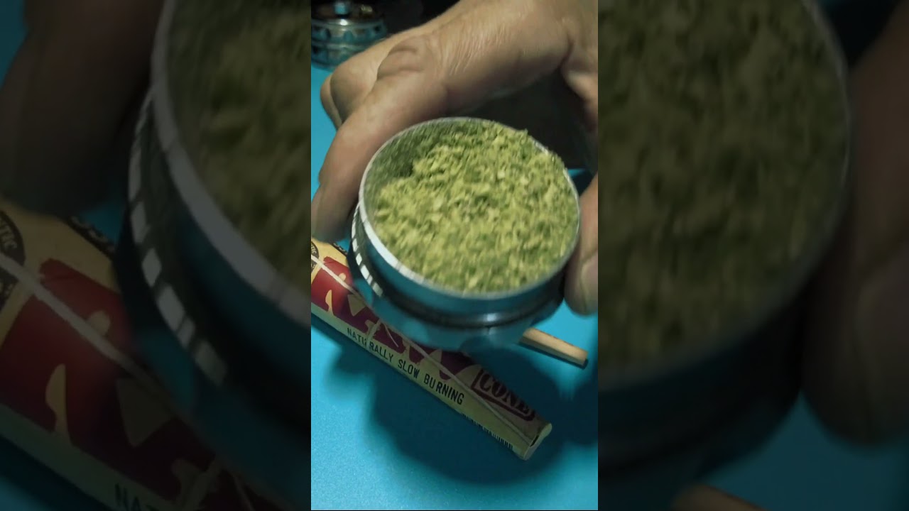 "Jungle Pie" 3 Cones