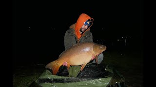 Marcowe Karpie Z Zimnej Wody 22 Kg ? 17,9 Kg ? Łowisko Nekielka