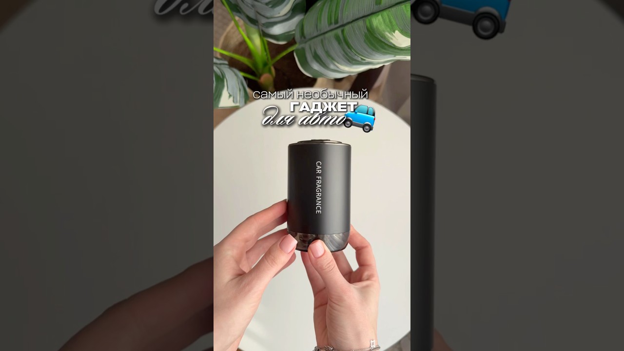 🛻Самое необычное для авто из того, что я видела▪️Артикул WB - 