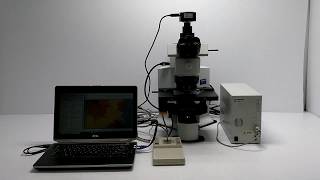 Olympus BX61 Motorized BF/DF Microscope BX61TRF Unit4 [BOSTONIND] - 14374