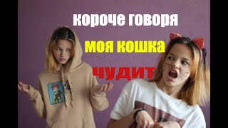 короче говоря моя кошка чудит! (смешное видео)