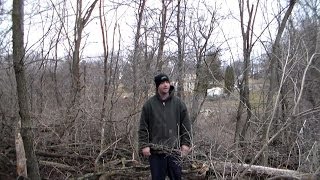 Tmnt 2014 Trailer - My Response Rant