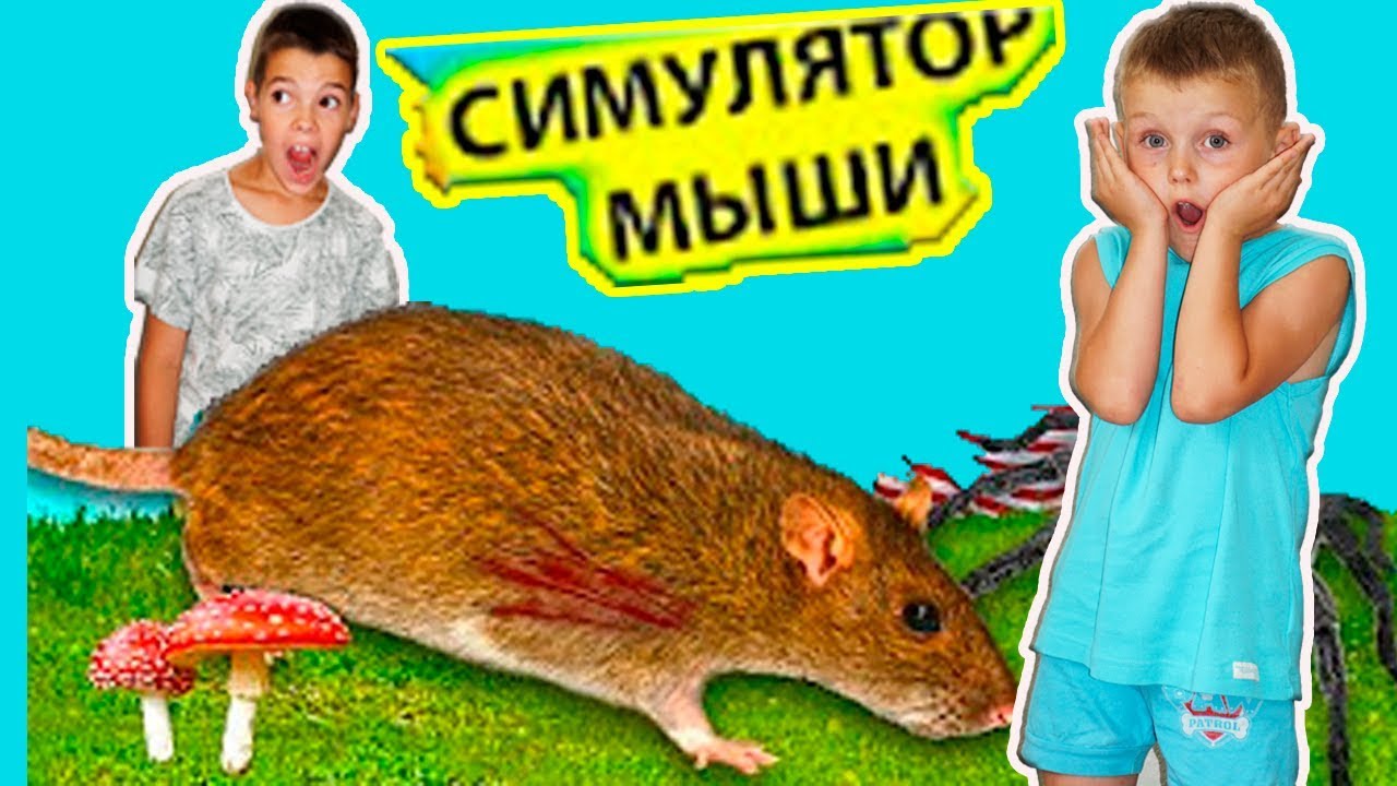 Трахнул в машине домашка
