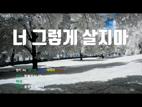 [은성 반주기] 너그렇게살지마 - 럼블피쉬(Rumble Fish)