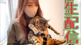 【生配信2/9】この後ペットシッターさんに頼んで実家に帰ります生配信