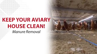 Aviary House Tour: Manure Removal and Under System Lighting