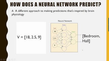 Neural Networks 1