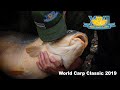 Carp Fishing - The World Carp Classic 2019 (Full Video)