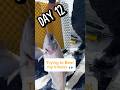 Day 12 - Trying to beat my inhaler by Ice Fishing at 8,400 Ft