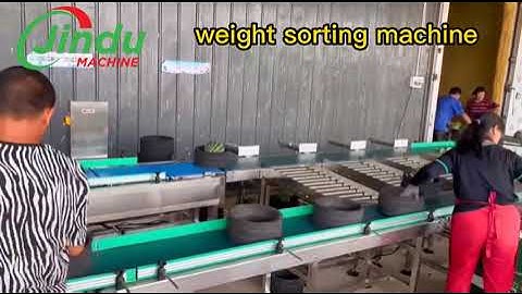 Experts Reveal the FASTEST Way to Grade Watermelon by Weight!