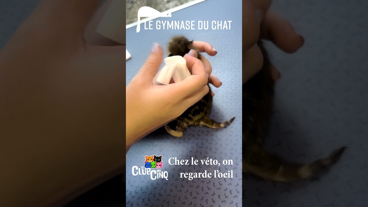 LE CLUB DES 5 - Pas de mystère, en route pour une semaine d'antibio