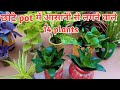 🌱14 plants जो छोटे pot में आसानी से चलते हैं || 14 plants which grow easily in small pots🤷♀️🙏🪴🌳💐☘️🌺