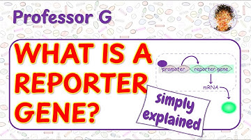 What Is a Reporter Gene? Biology’s Secret Spy