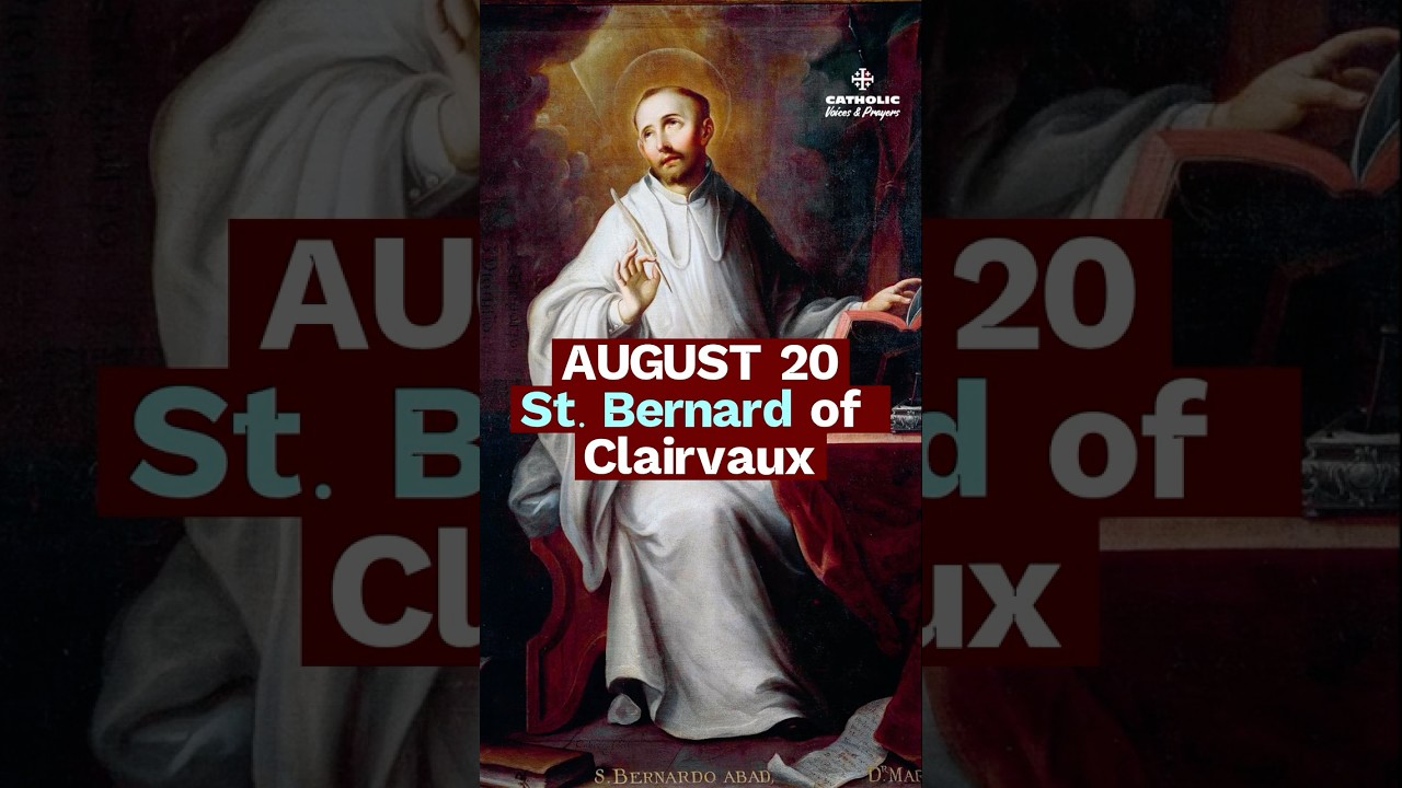 The Marian Doctor of the Church | St. Bernard of Clairvaux (Aug 20)