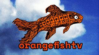 Ideas are like fish