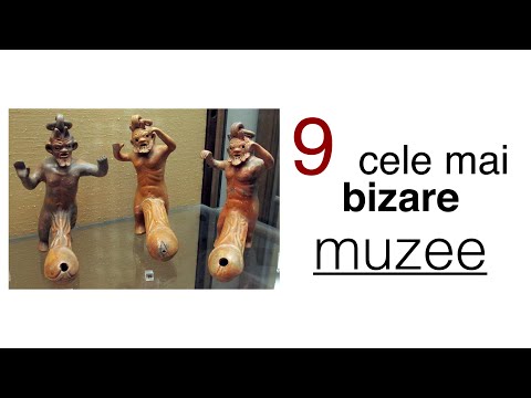 Video: Cele mai bune muzee din Soci