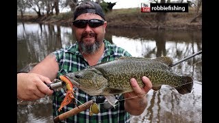 Murray Cod Opening 2017