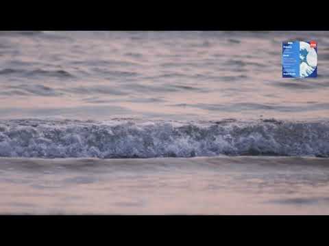Ravel : Alborada del gracioso / Previn 1985