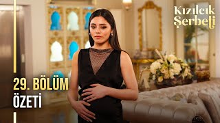 Kızılcık Şerbeti 29. Bölüm Özeti