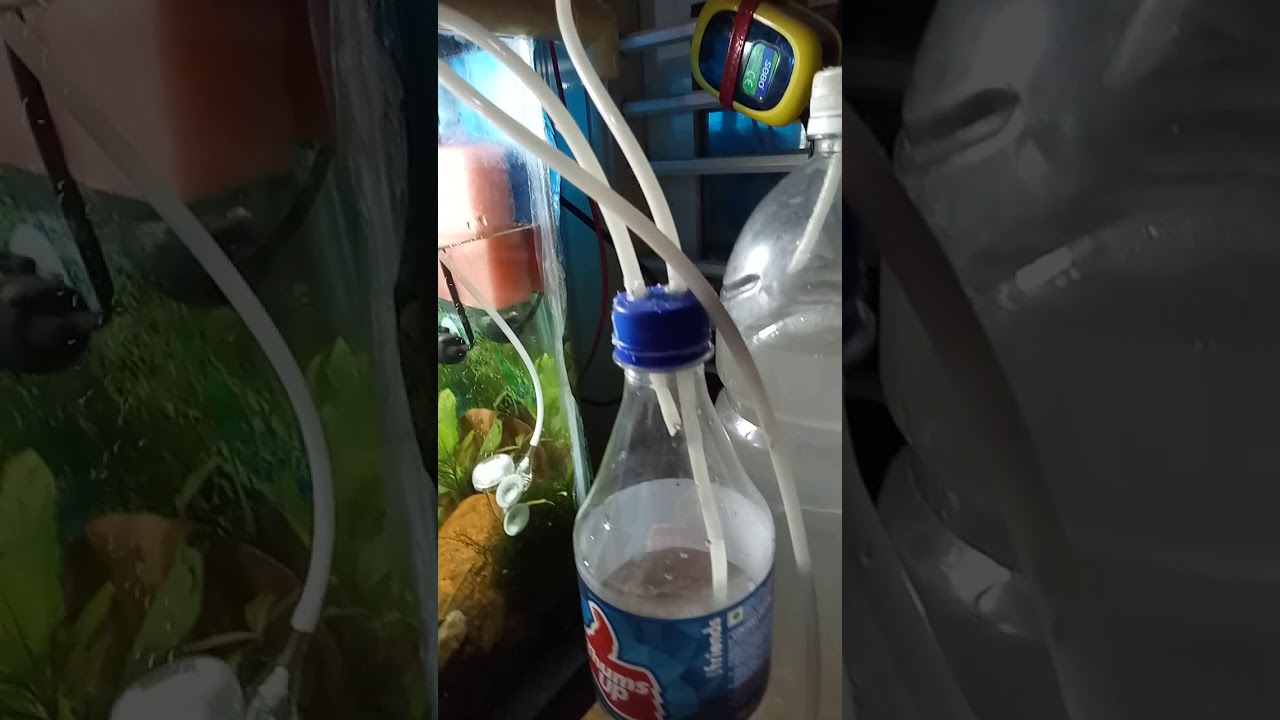 DIY CO2 generator with ISTA 3 in 1 CO2 duffuser