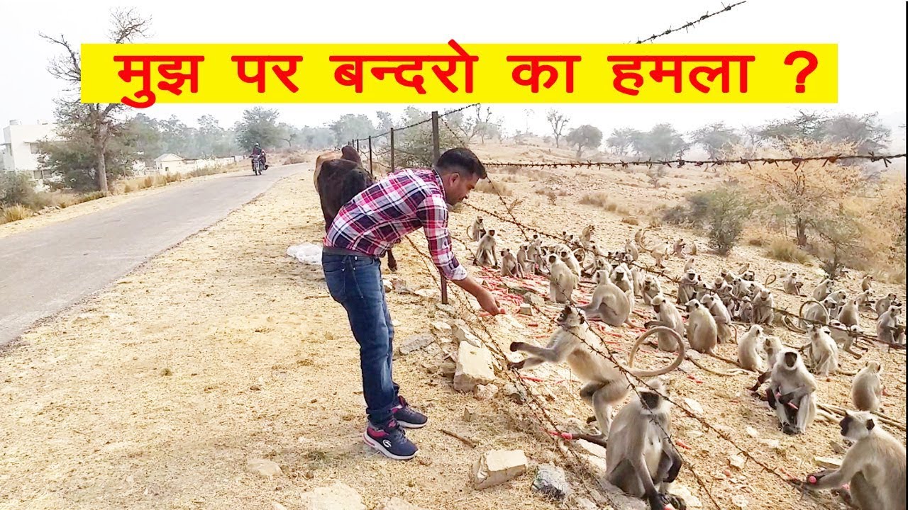  VLOG JWALA MATA MANDIR JOBNER  KALAKH BANDH JAIPUR  BLS VLOGS