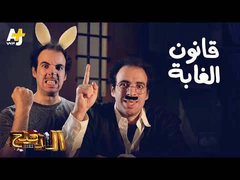 فيديو: الغابة كهدف للاستخدام