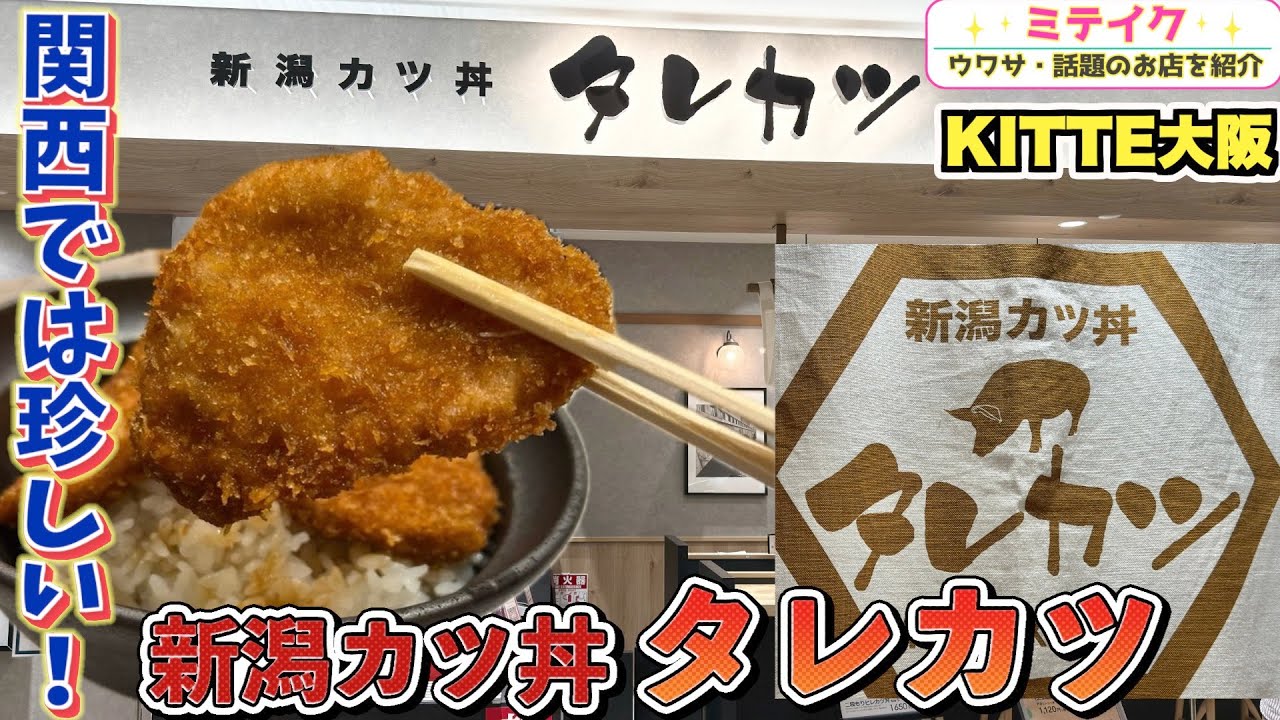 カツ丼4個セットラファイエ サマーアンダーヴェイルUV カツ丼4個セットラファイエ サマーアンダーヴェイルUV カツ丼4個セット