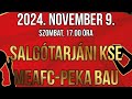 SKSE - MEAFC-PEKA BAU