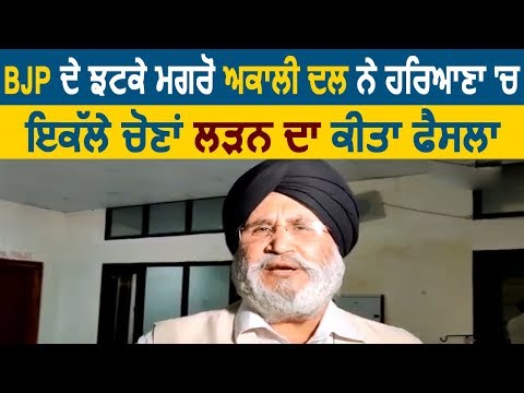 Akali Dal ने Haryana Vidhan Sabha Election अपने बलबूते पर लड़ने का किया फैसला