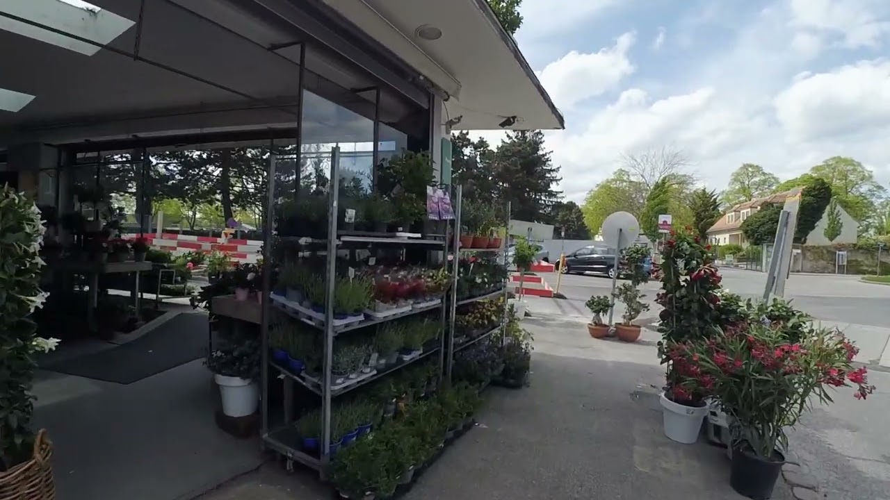 Testing my  YI action Camera