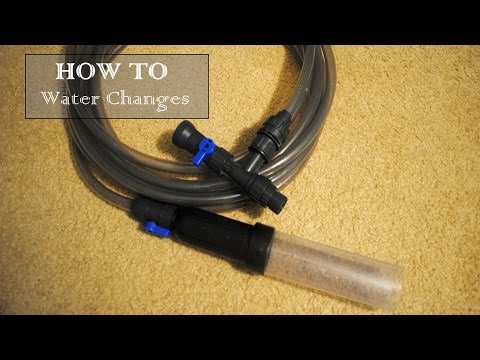 How To do Water Changes for Goldfish Aquarium - Aqueon Aquarium Water Changer