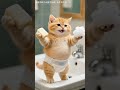 crazy cat#####nitink###short