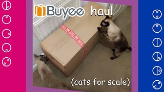 #Buyee Haul #1: The Unboxening (Transformers, Bakugan and more!)