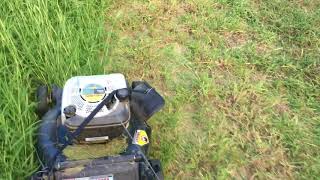 MTD Yardman 6.25 21' Push Walk Behind Mower Torture Test