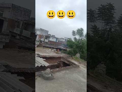 kitna sundar jungal he re #viral #shorts