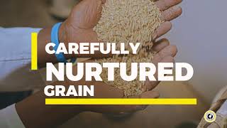 The Home Of Wholesome Brands - Capwell Industries Limited